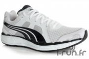 pumafaas5504