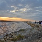 GRAND RAID DE CAMARGUE ©Delphine Lespes 2