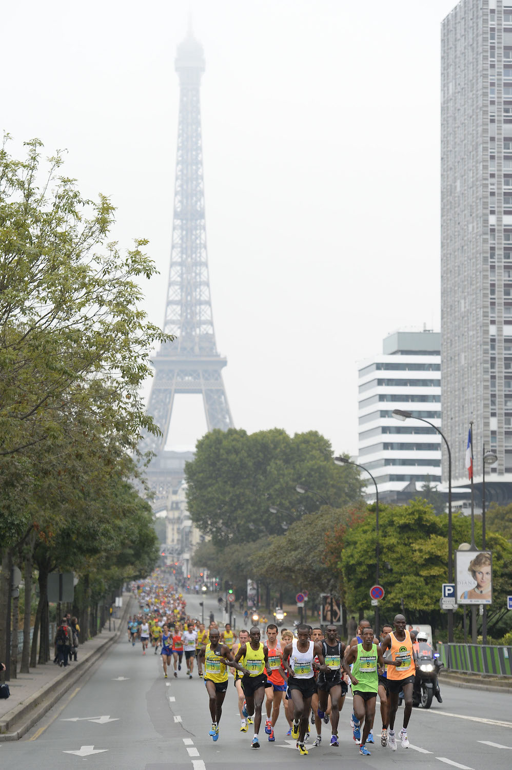 Paris-Versailles, au cœur de la Grande Classique de la course à pied, avec  sa mythique Côte des Gardes à 7 % de moyenne - La DH/Les Sports+