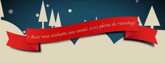 bonne année 2013