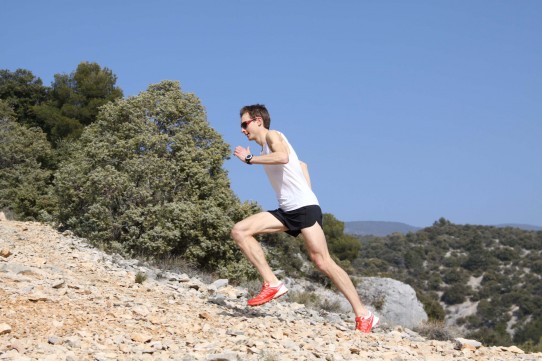 trail du Ventoux