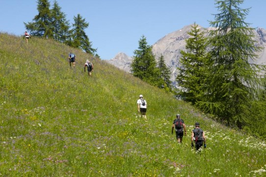 Challenge de Provence 