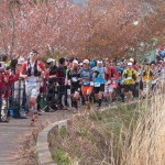 1 UTMF 2014  François D'Haene devant le peloton photo Sylvaine Cussot