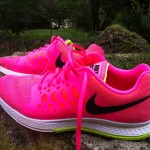 Nike air Pegasus 31