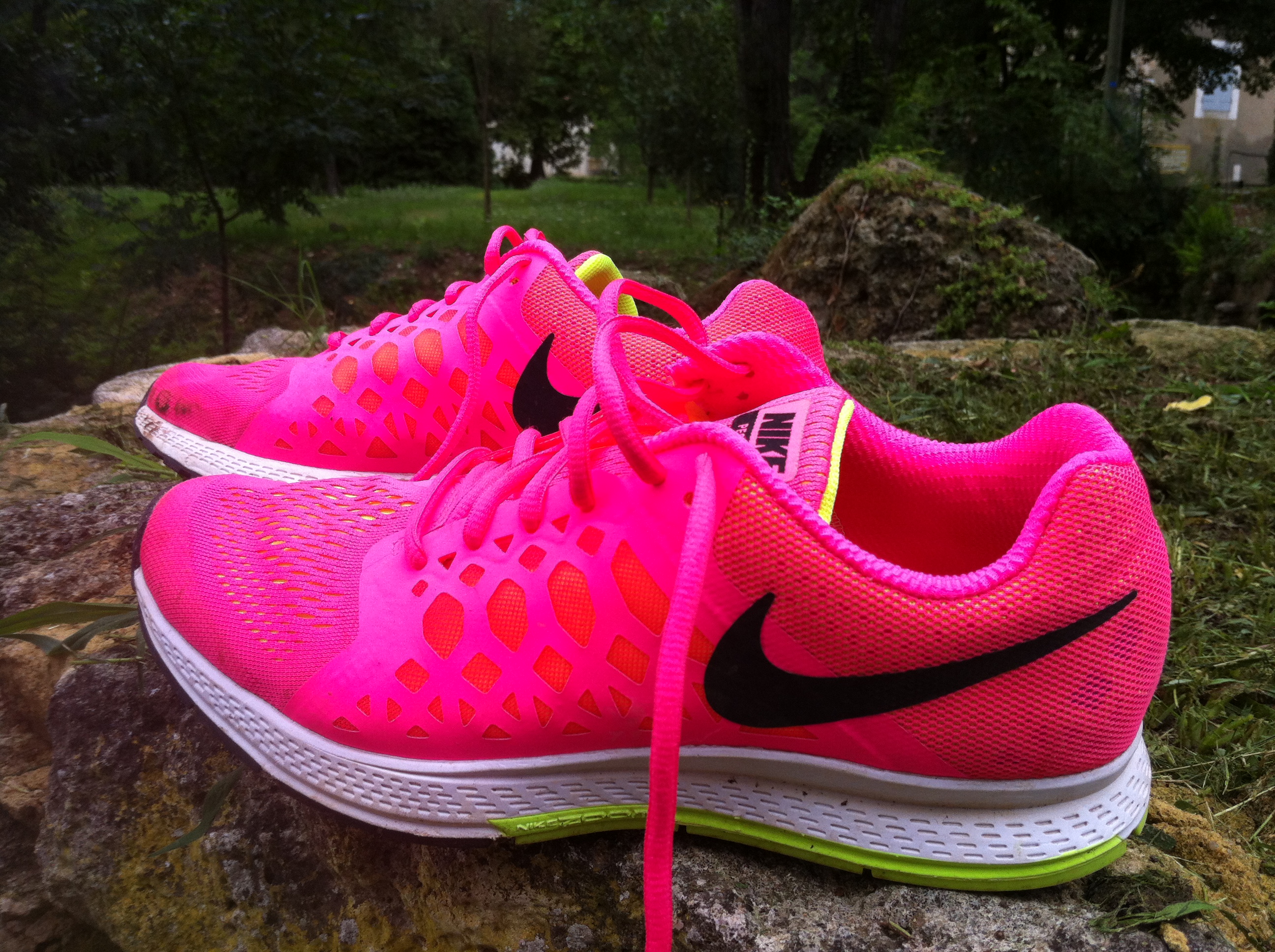 nike air pegasus 31