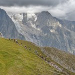 CCC-tête de la Tronche 