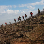 trail des cabornis