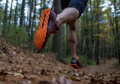 Les nouveaux modèles de trail de Saucony