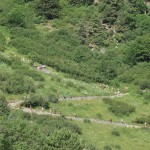 Cesni Méribel trail