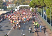 Marathon International Toulouse Métropole 2015