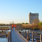 GRAND RAID DE CAMARGUE - © DELPHINE LESPES (4)