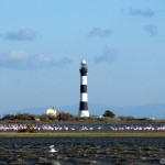 Phare de Faraman - GRAND RAID DE CAMARGUE- ©LAURENT LLOPIS (4)