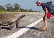 Ces coureurs, des animaux !