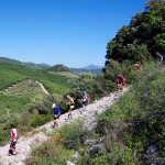 Trail de Beaumes de Venise (cp Akunamatata)