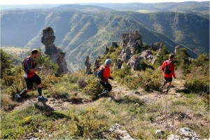 Les Templiers 