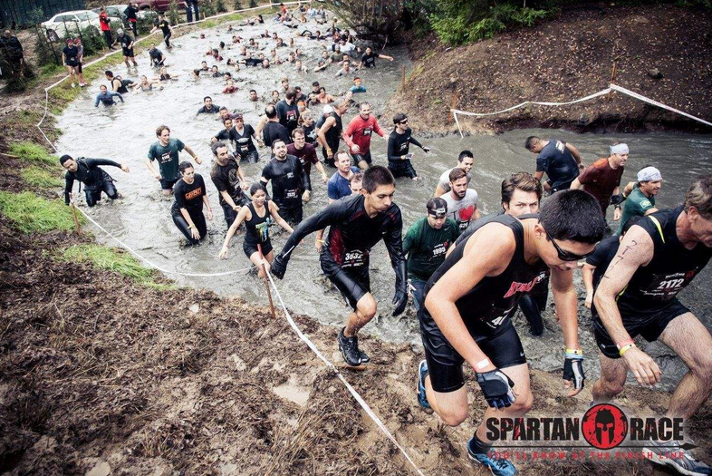 reebok obstacle race