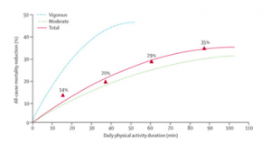 Course à pied-quels risques cardio-vasculaires