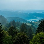 INFERNAL TRAIL DES VOSGES