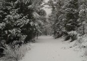 Coup de gueule à Serre Chevalier