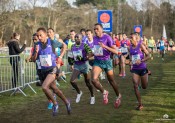 Denis Brogniart, parrain du 36ème Cross Ouest-France !