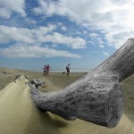 GRAND RAID DE CAMARGUE - COPYRIGHT LAURENT LLOPIS