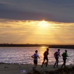 GRAND RAID DE CAMARGUE - COPYRIGHT MARJORIE PERROT