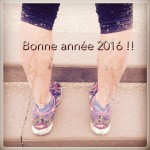 Bonne année 2016