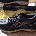 Asics MetaRun 