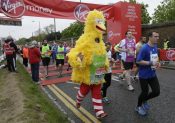 Les coureurs, ces drôles d’oiseaux !