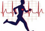 Comment calculer sa fréquence cardiaque maximale (FCM)