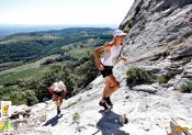 Trail de Beaumes de Venise : 10 septembre 2016