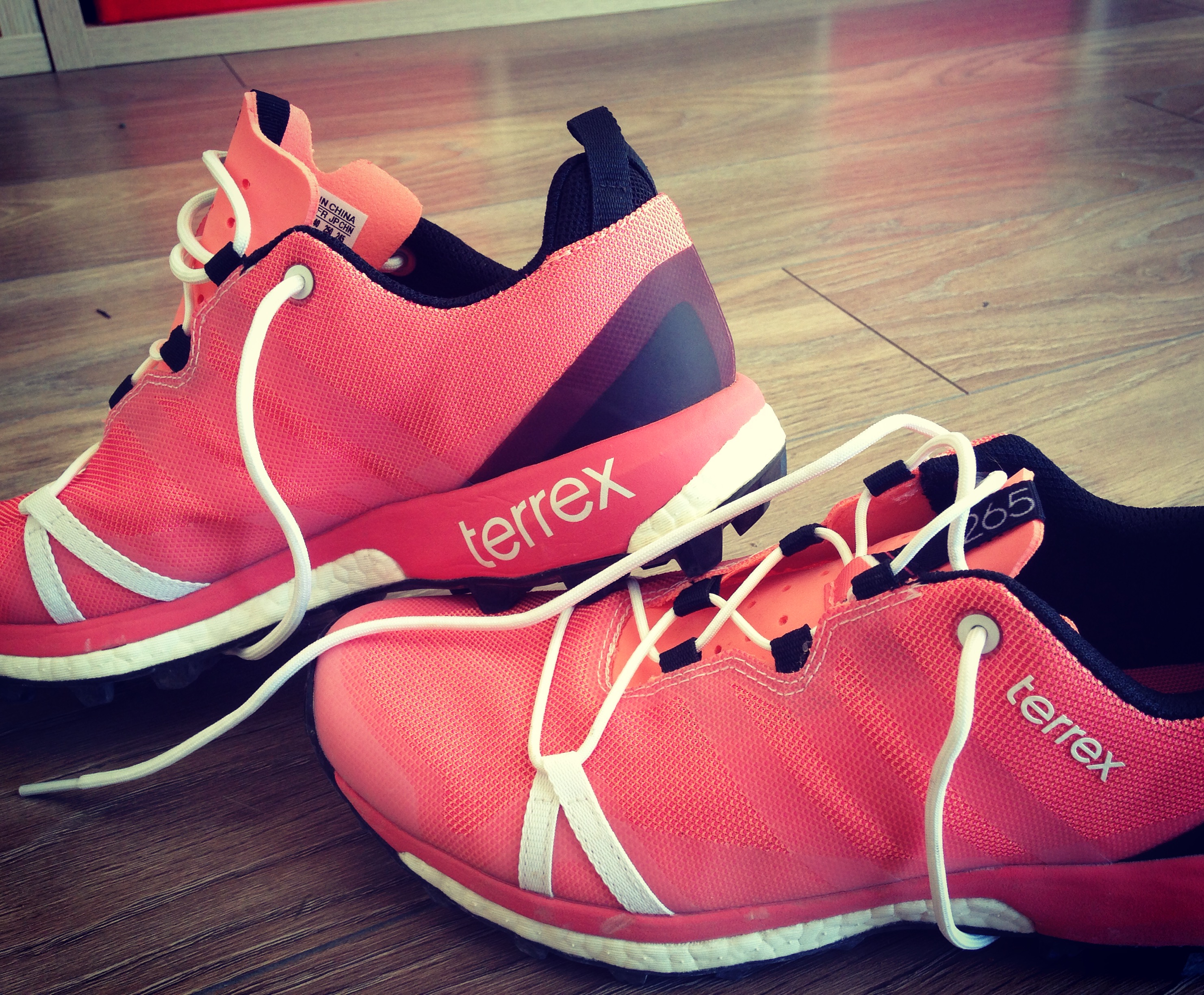 adidas terrex trailmaker test