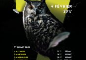 Forest Trail : les inscriptions pour l’édition 2017 sont lancées !