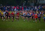 L’élite française réunie au Cross d’Allonnnes !