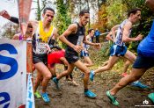 Equipez-vous de pointes spécifiques pour les cross !