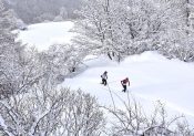 800 trailers au départ de l’Ubaye Snow Trail Salomon