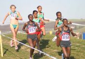 France de cross-country : Saint-Galmier dans les starts !