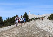 Trail du Ventoux : Adeline Roche et Marc Lauenstein en vainqueurs