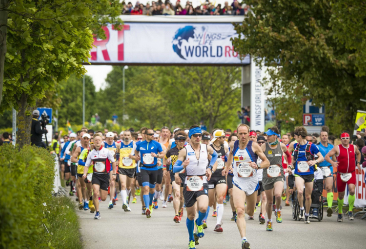 Un nouveau format pour la Wings for Life World Run le 7 mai en France U Run