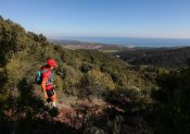 100 Miles Sud de France : un ultra entre Pyrénées et Méditerranée