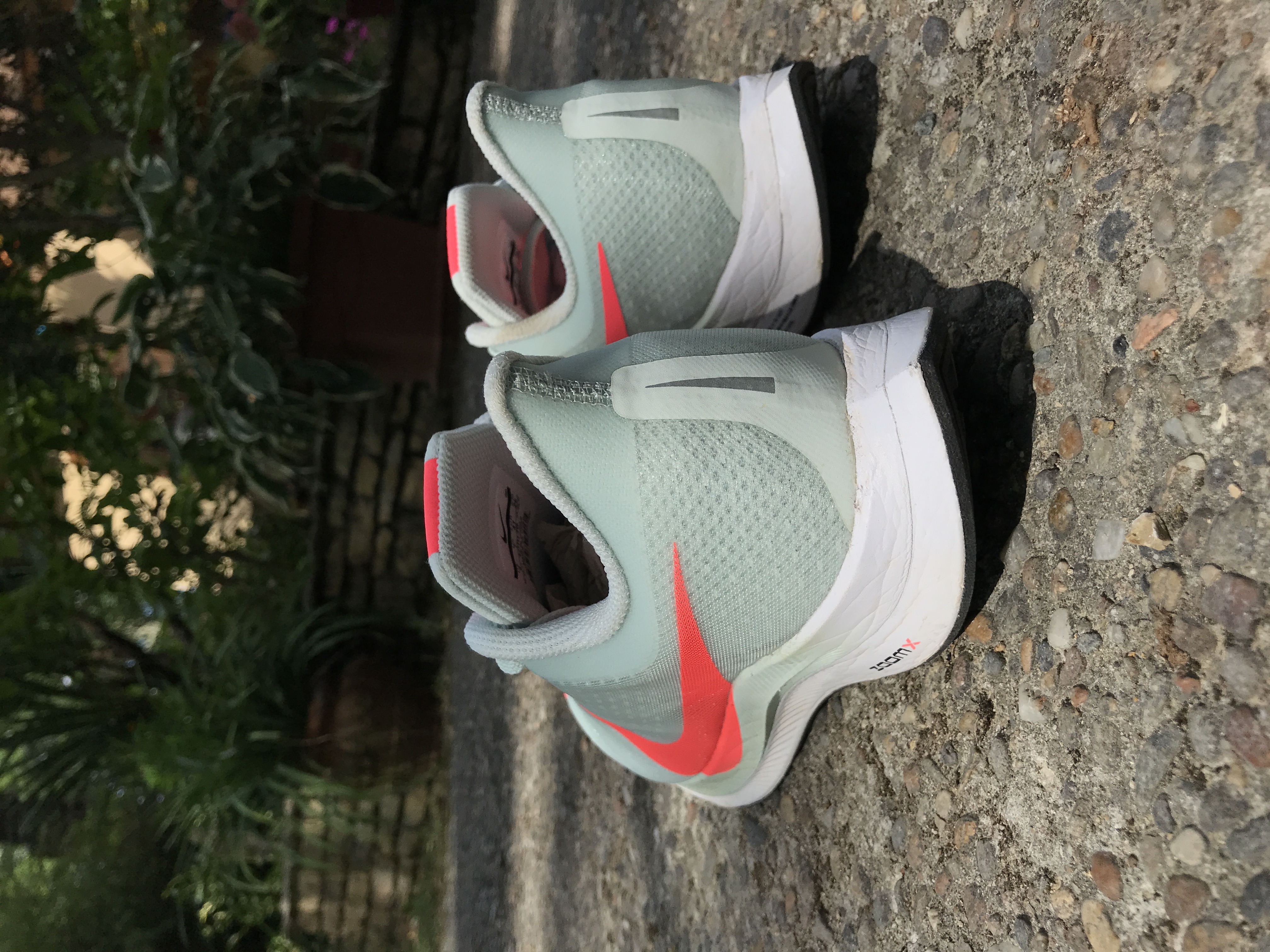 pegasus turbo 2 marathon