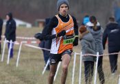 Cross : les résultats des deux secteurs en Occitanie