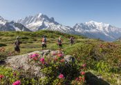 La Golden Trail National Séries revient en France et Belgique en 2020