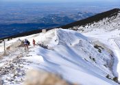 Ergysport Trail du Ventoux, et de 4 pour Marc Lauenstein !