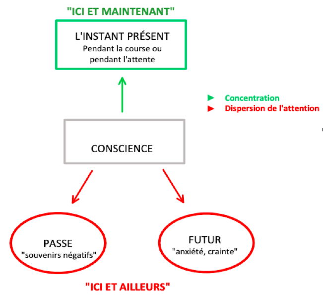 dissertation sur le stress comme carburant de la performance