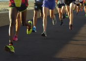 Les coureurs, une faune très variée