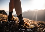 adidas Terrex Two Ultra Parley : la chaussure de trail qui allie écologie et performance