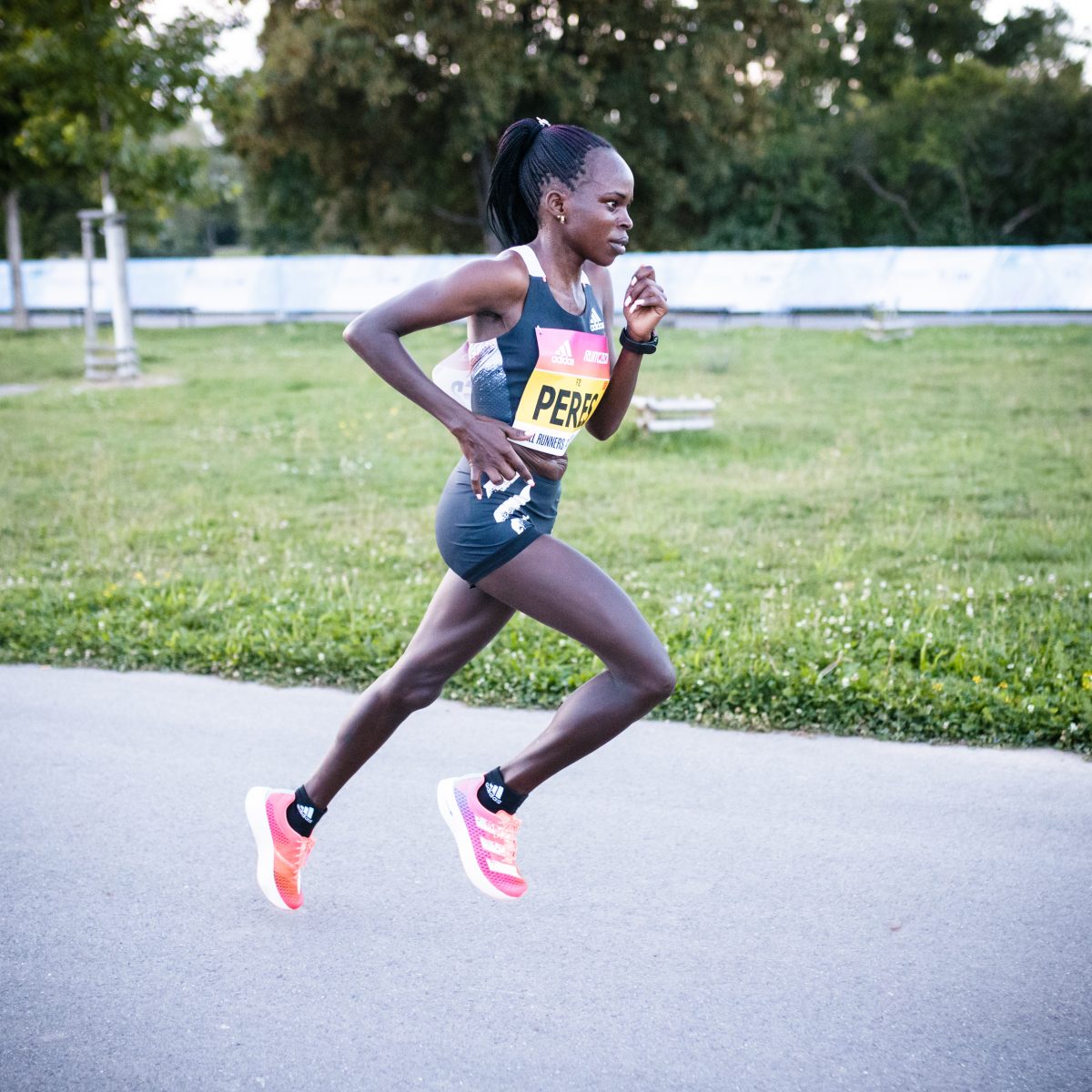 chaussure adidas pour marathon