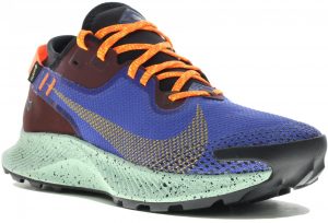 Nike Pegasus Trail 2 Gore-Tex M