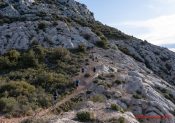 La 20ème édition du Trail de la Sainte Victoire